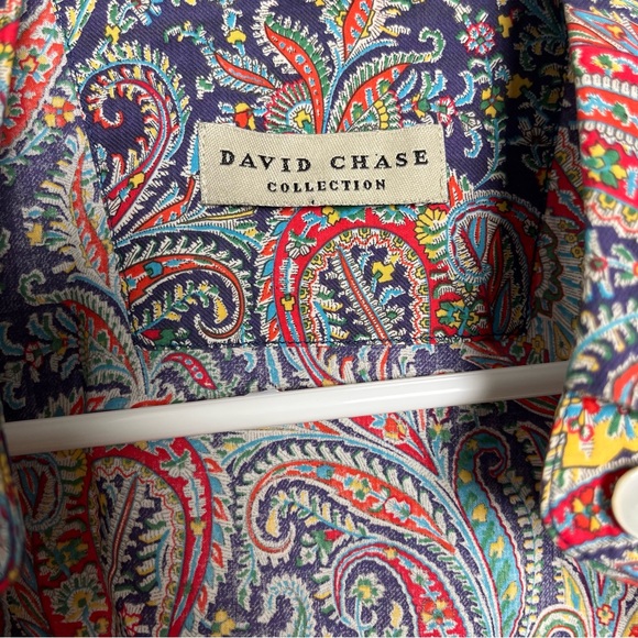 David Chase Collections Paisley Button Down Shirt Multicolor Boho Maximalist MED - Picture 3 of 6